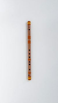 B-medium-52cm