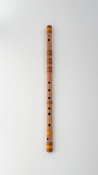 F#-bass-67cm