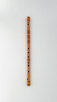 G-bass-(beginner)-64cm