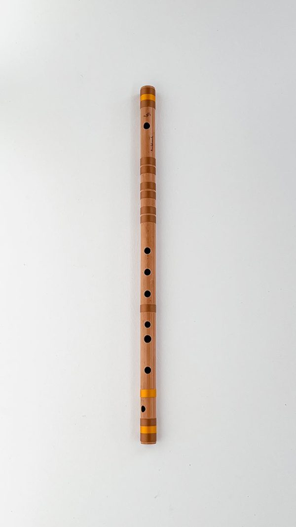 G-bass-(beginner)-64cm